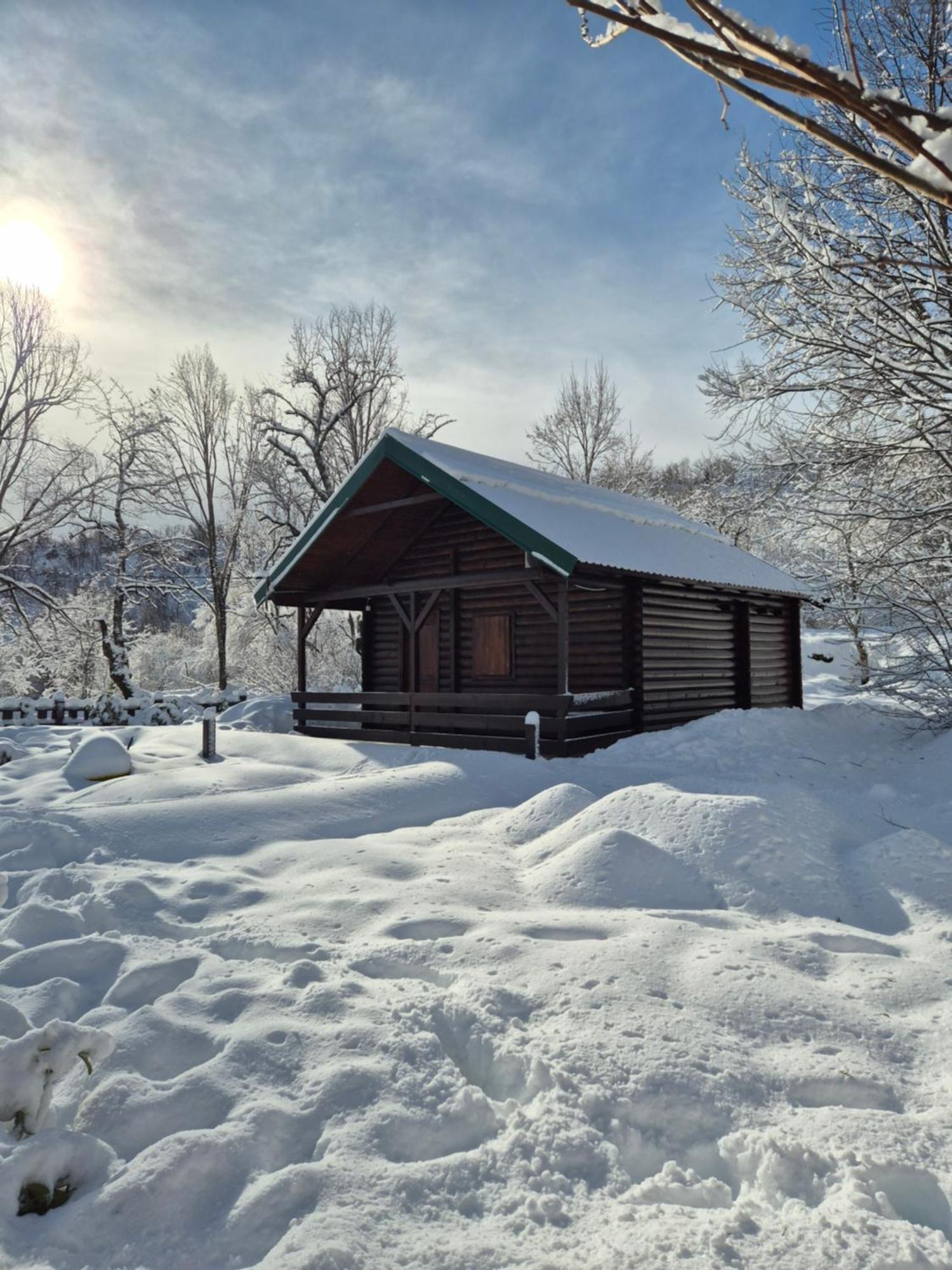 Cabin House Dubovik Τσέτινιε Εξωτερικό φωτογραφία