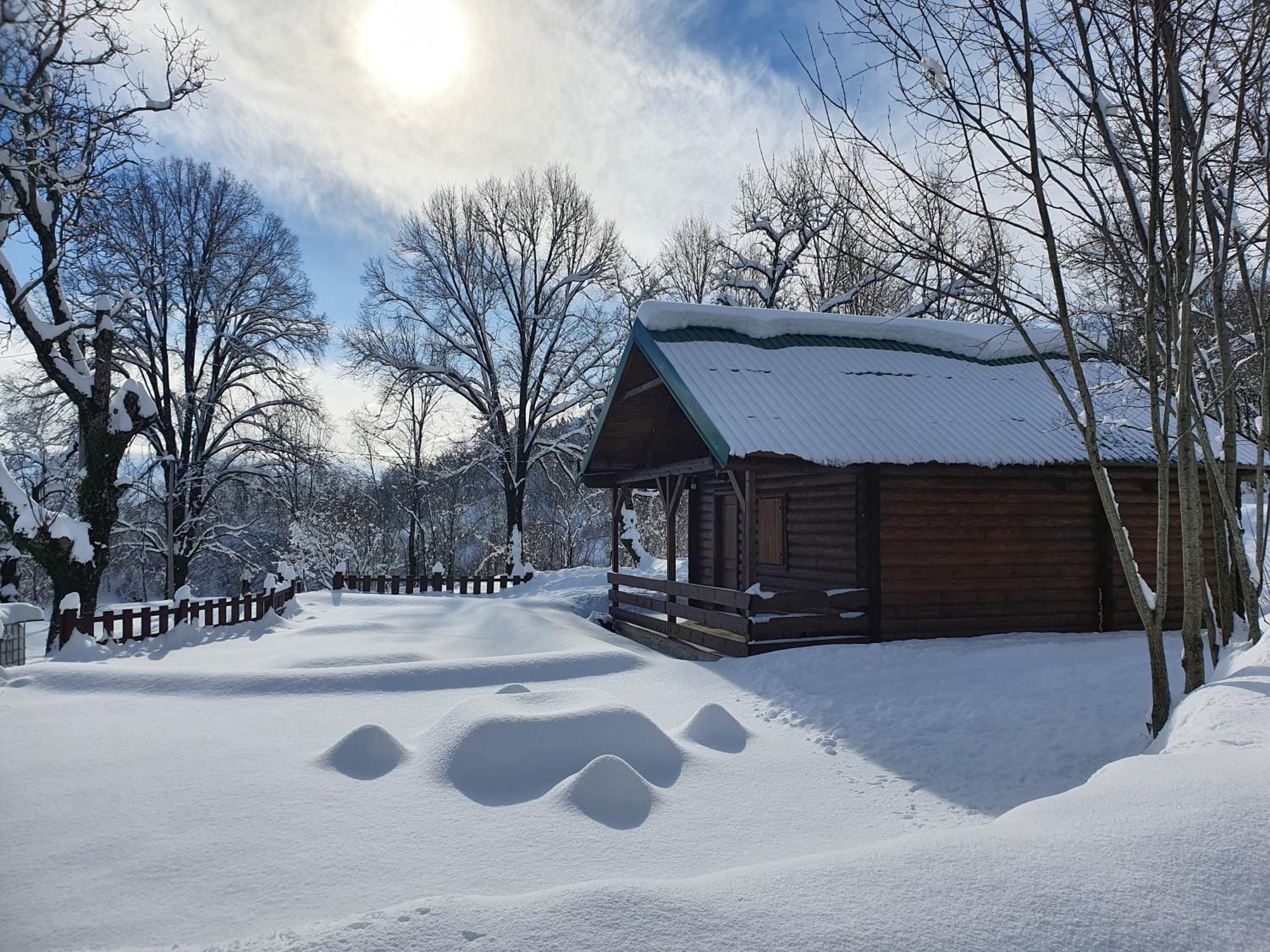 Cabin House Dubovik Τσέτινιε Εξωτερικό φωτογραφία